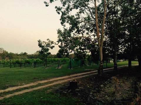 Brierley Wines - Darwin Tourism 0