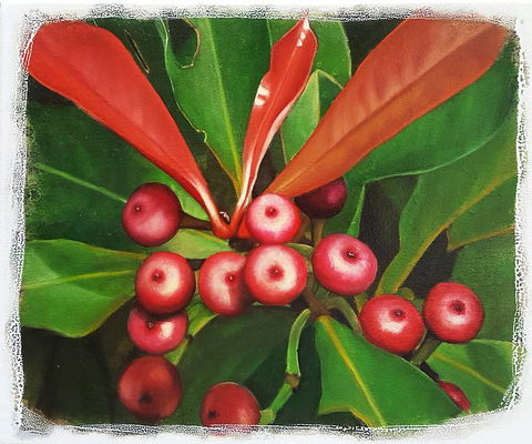 Claire Souter Gallery - Darwin Tourism 2