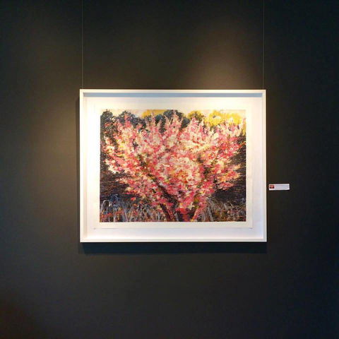 Gallery One - Darwin Tourism 1
