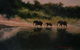 Royal Queensland Art Society - thumb 3