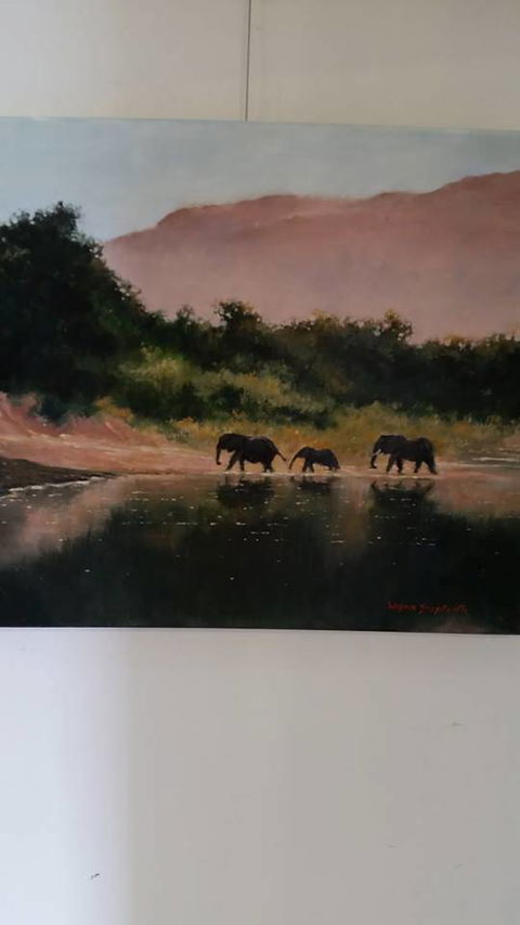 Royal Queensland Art Society - Darwin Tourism 3