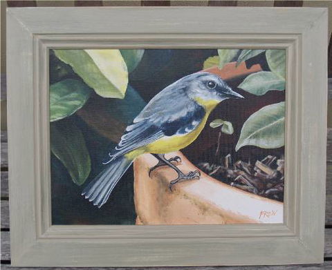 Frew Artworks - Darwin Tourism 2