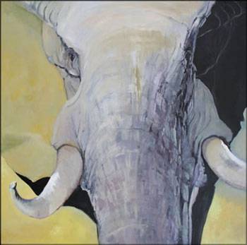 Bright Madge - Darwin Tourism 1