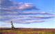 Nissarana Galleries Noosa - thumb 2