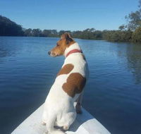 Australis Canoes  Kayaks - Darwin Tourism