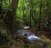 Trek North - Darwin Tourism