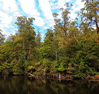 A R Reflections River Cruises - Darwin Tourism