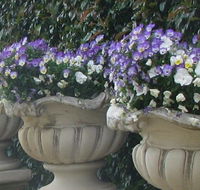 Gardenalia Open Garden and Rare Plant Nursery - Darwin Tourism