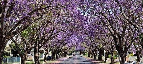 Yamba Tours And Charters - Darwin Tourism 6