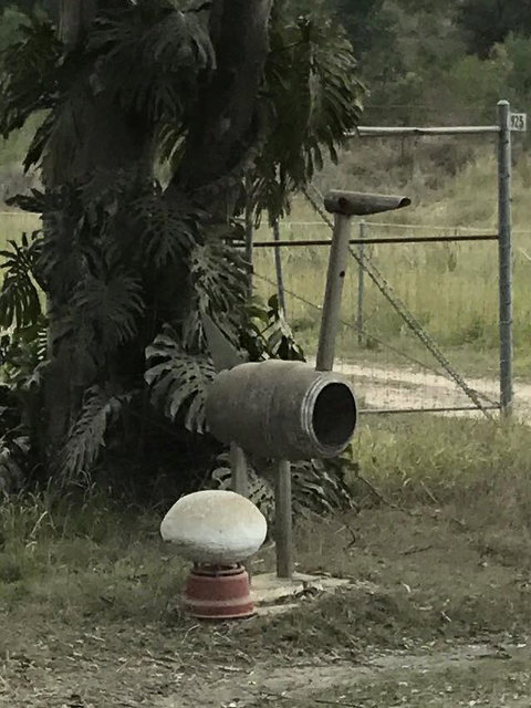 Yamba Tours And Charters - Darwin Tourism 7