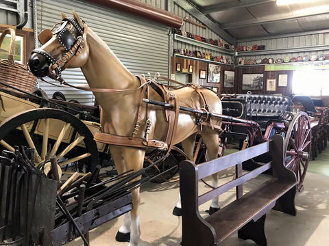 Yamba Tours And Charters - Darwin Tourism 9