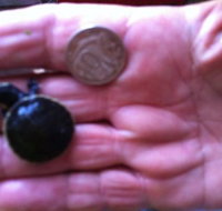 Hurleys Aquariums - Darwin Tourism