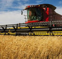 Quirindi Grain and produce - Darwin Tourism