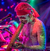 Didgeridoo Jam In The Park - Darwin Tourism 1