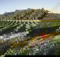 Margaret River Caves Wine and Cape Leeuwin Lighthouse Tour from Perth - Darwin Tourism