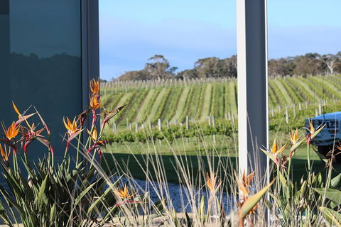 Margaret River Wine And Sights Discovery Tour From Busselton Or Dunsborough - Darwin Tourism 3