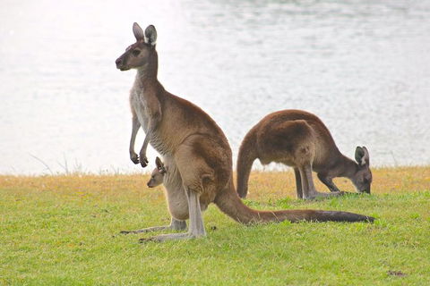 Margaret River Wine And Sights Discovery Tour From Busselton Or Dunsborough - Darwin Tourism 6
