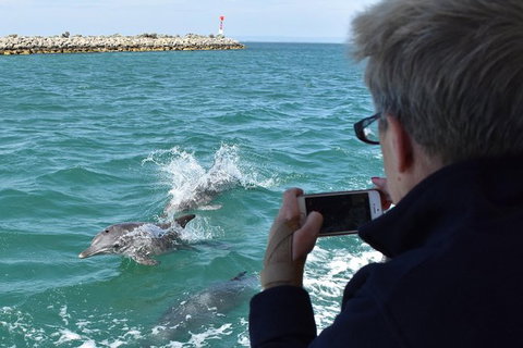 Mandurah Dolphin Island Adventure - Darwin Tourism 0