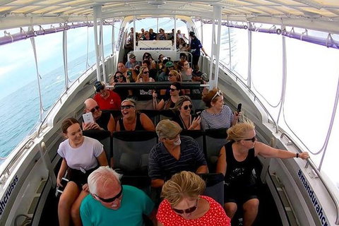 Mandurah Dolphin Island Adventure - Darwin Tourism 12