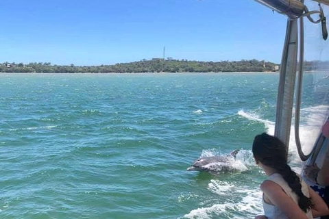 Mandurah Dolphin Island Adventure - Darwin Tourism 9