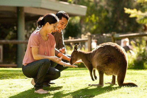 Very Best Of Perth Tour - Wildlife Park & City Highlights Tour - Darwin Tourism 0