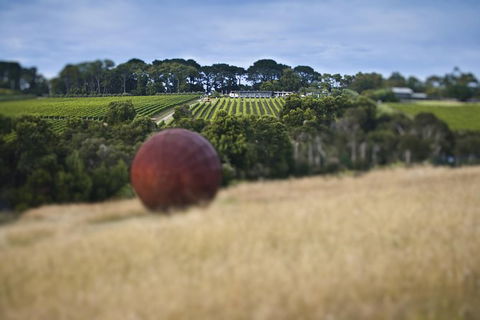 Estate To Plate: Montalto Vineyard Gourmet Lunch And Wine-Tasting Tour - Darwin Tourism 0