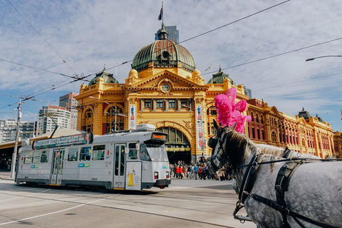 A Full Day In Melbourne With A Local: Private & Personalized - Darwin Tourism 9