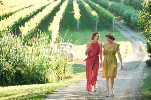 Montalto Vineyard: Mornington Peninsula Discovery Wine Tasting And Lunch - Darwin Tourism 5