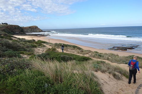 Phillip Island, George Bass Coastal Walk And Penguins Tour - Darwin Tourism 1