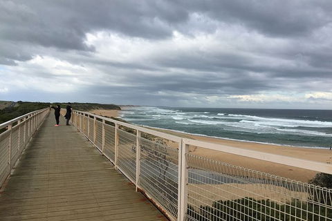 Phillip Island, George Bass Coastal Walk And Penguins Tour - Darwin Tourism 11