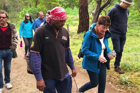 4 Day Great Ocean Road And Beyond - Melbourne To Adelaide - Darwin Tourism 9