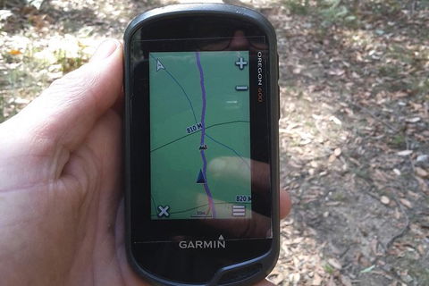 GPS Guided Walks In The Daylesford Forest - Darwin Tourism 0