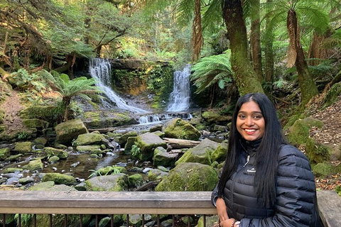 Day Tour In Mt. Field, Mt. Wellington, Bonorong Wildlife Sanctuary And Richmond - Darwin Tourism 4