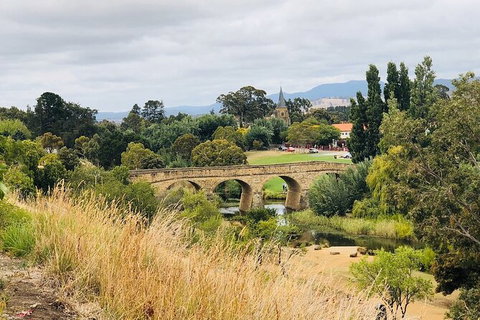 Day Tour In Mt. Field, Mt. Wellington, Bonorong Wildlife Sanctuary And Richmond - Darwin Tourism 6