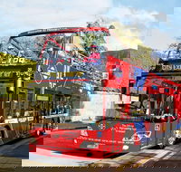 Hobart Hop-on Hop-off Bus Tour - Darwin Tourism