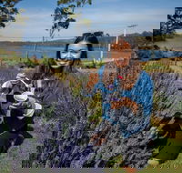 Port Arthur and Lavender Farm Active Day Tour - Darwin Tourism