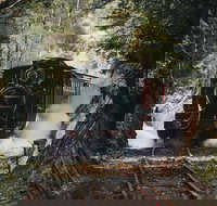 West Coast Wilderness Railway River and Rainforest from Strahan - Darwin Tourism