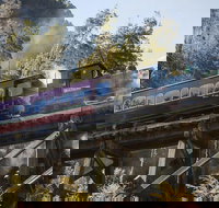 West Coast Wilderness Railway Queenstown Explorer from Strahan - Darwin Tourism