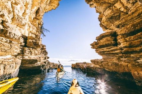 Hobart Kayak Tour - Darwin Tourism 0