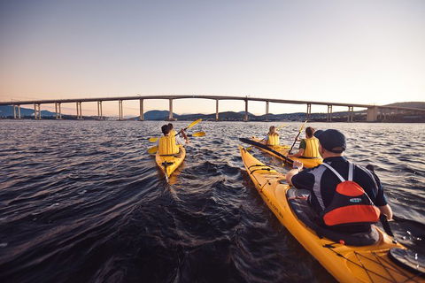 Hobart Kayak Tour - Darwin Tourism 2
