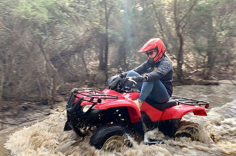 Half-Day Guided ATV Exploration Tour From Coles Bay - Darwin Tourism 7