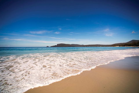 Private Bruny Island Nature Day Trip From Hobart - Darwin Tourism 1