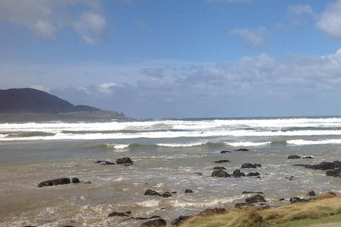 Private Bruny Island Nature Day Trip From Hobart - Darwin Tourism 0