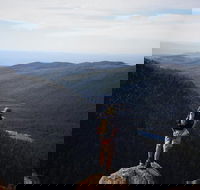 Mount Field National Park - Tarn Shelf  Russell Falls - Guided Hiking Tour - Darwin Tourism
