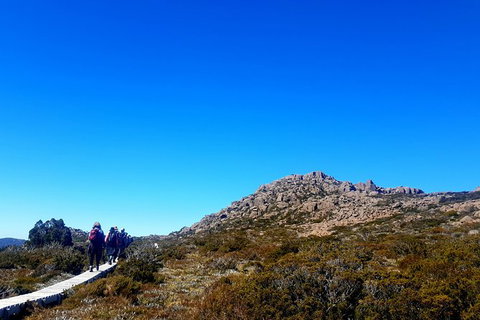 Mount Field National Park - Tarn Shelf & Russell Falls - Guided Hiking Tour - Darwin Tourism 6