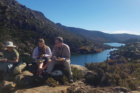 Mount Field National Park - Tarn Shelf & Russell Falls - Guided Hiking Tour - Darwin Tourism 8