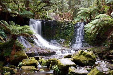 Mount Field National Park - Tarn Shelf & Russell Falls - Guided Hiking Tour - Darwin Tourism 10