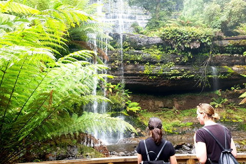 Mount Field National Park - Tarn Shelf & Russell Falls - Guided Hiking Tour - Darwin Tourism 4