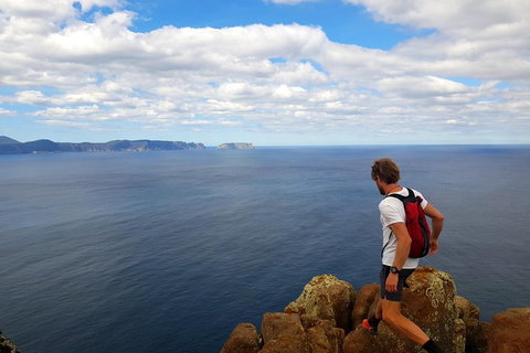 2-Day: Hobart Adventure Tour: Maria Island National Park And Cape Raoul Hike - Darwin Tourism 1