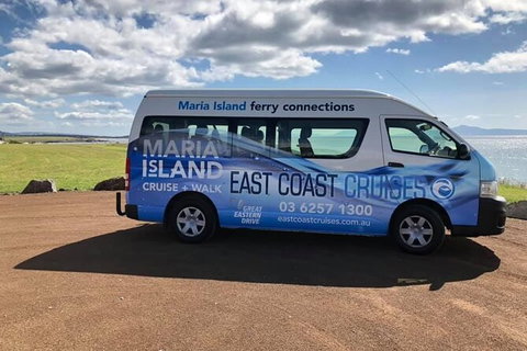 Maria Island Shuttle Bus Hobart To Triabunna (Round Trip) - Darwin Tourism 5